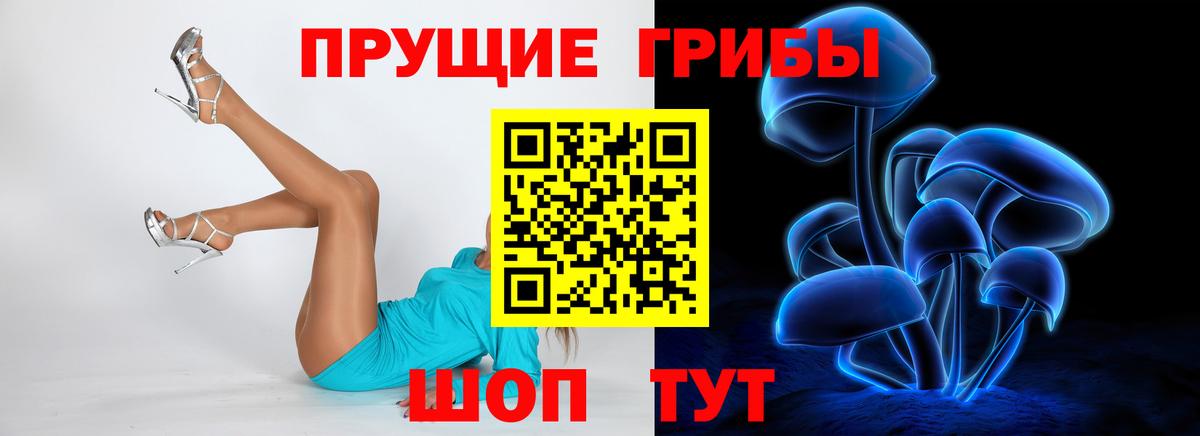 Ростов-на-Дону  Псилоцибиновые грибы GOLDEN TEACHER  Вход с VPN 